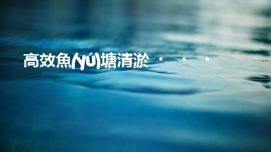 高效魚(yú)塘清淤，巴洛仕設(shè)備助力生態(tài)養(yǎng)殖